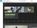 Small Screenshot picture of 10,000 Birds